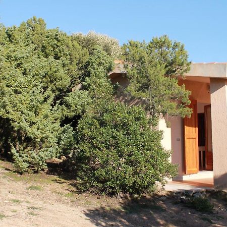 Rena Garden Apartments Santa Teresa Gallura Eksteriør bilde